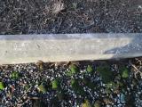 image of grave number 362936